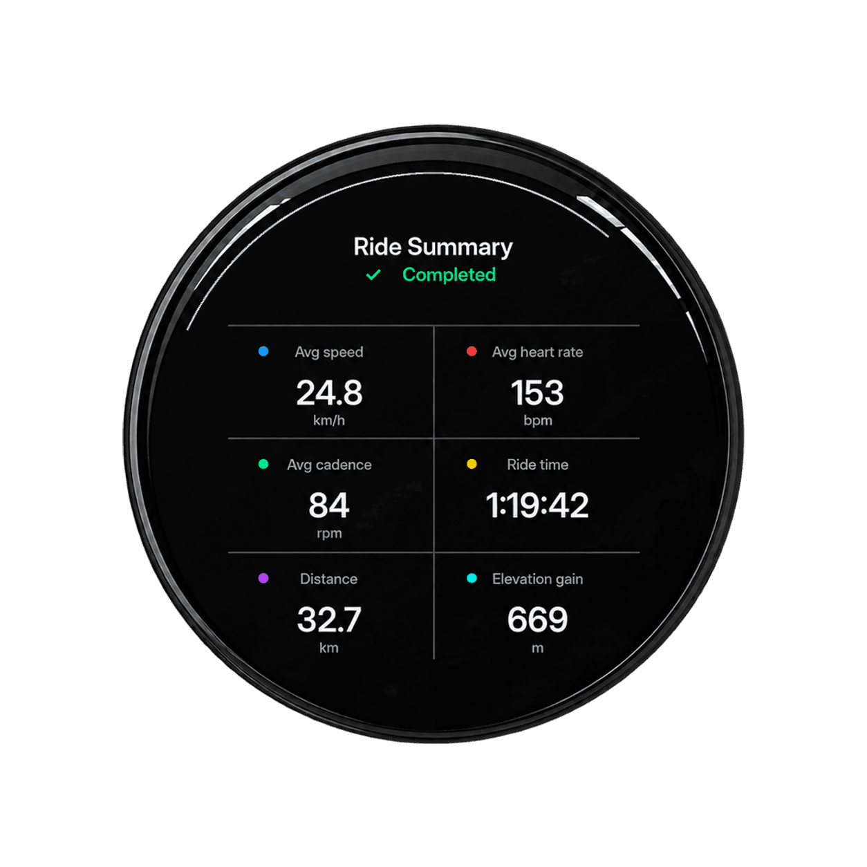Bicino ride summary screen